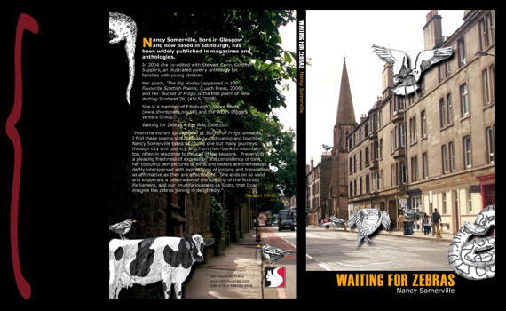 Waiting for Zebras Book Cover design for Waiting for Zebras by Nancy Somerville